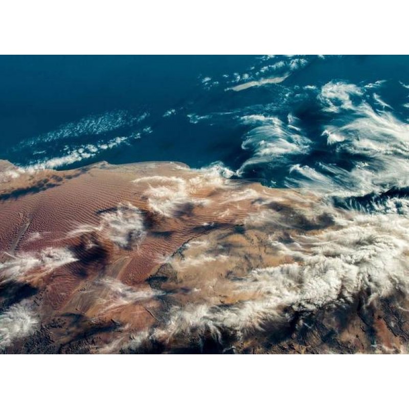 The Creativity of Mo...