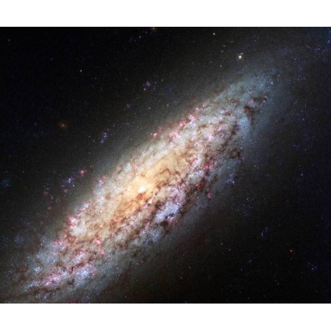 Lonely Galaxy Lost in Space