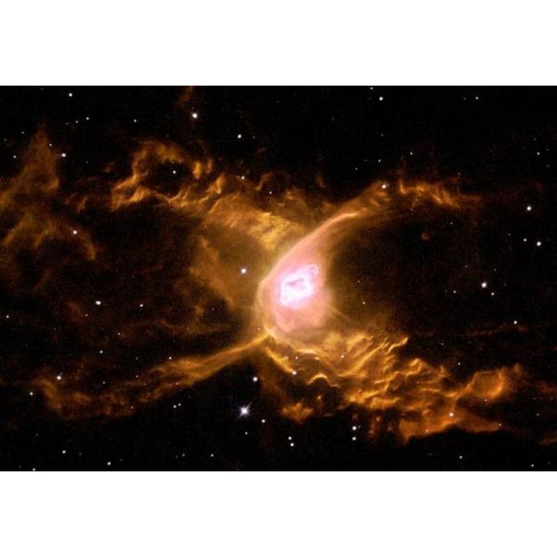 Web Spins into Giant...