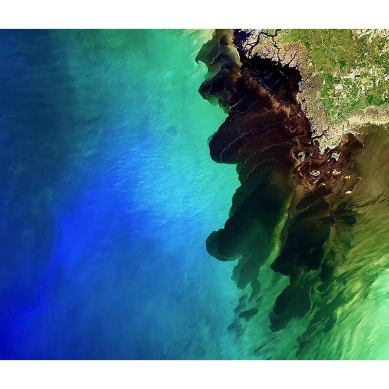 Suwannee Blackwater ...