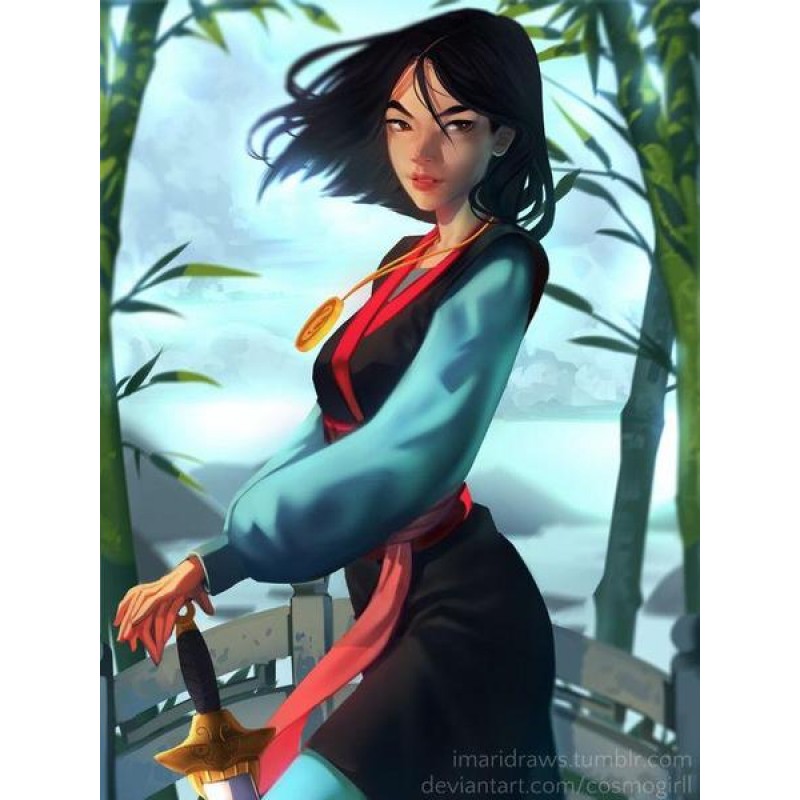 Mulan DIY Diamond Pa...