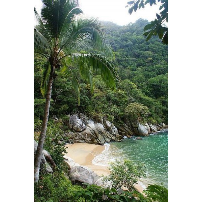 Forest Beach-Diamond...