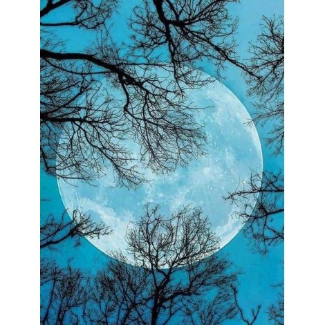Moon & Trees