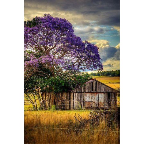 Beautiful tree & House