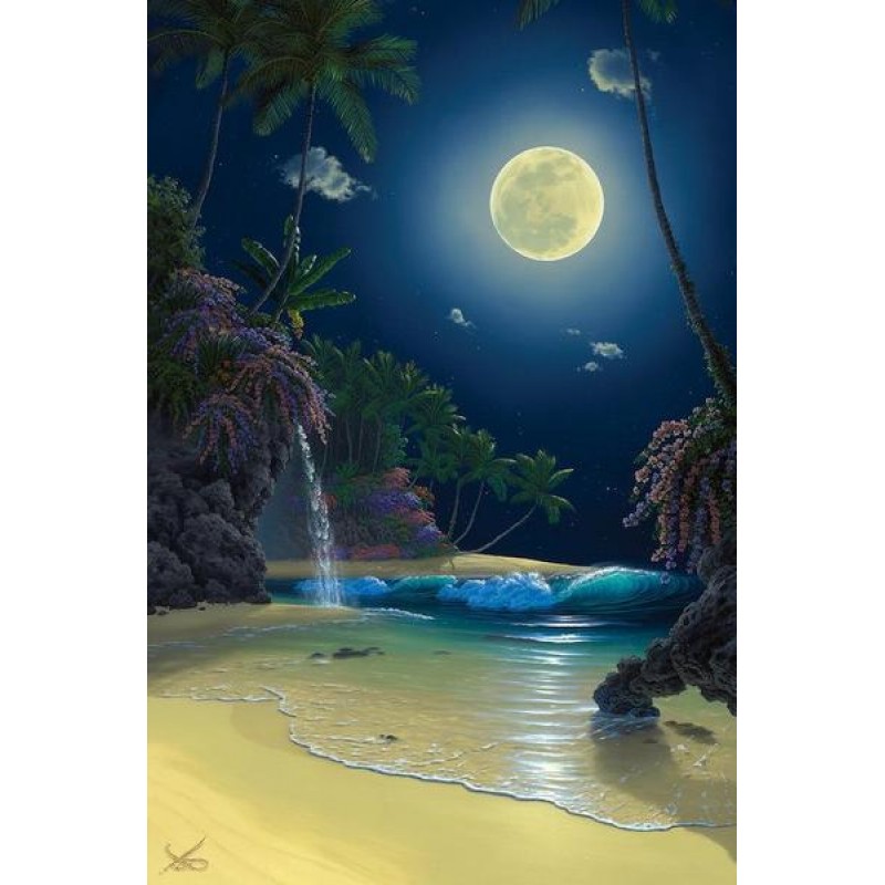 Amazing Night with S...