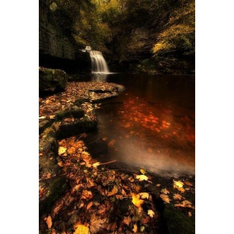 Waterfall in an Autumn Forest