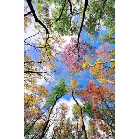Trees Touching the Sky - Paint by Diamonds