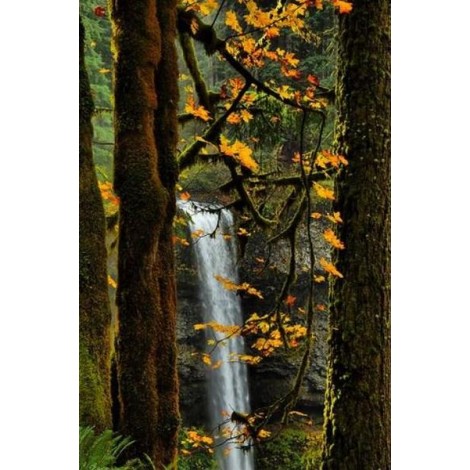 Ulmus Alata Trees - Paint by diamonds