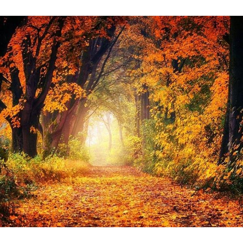 Summer to Fall - Pai...