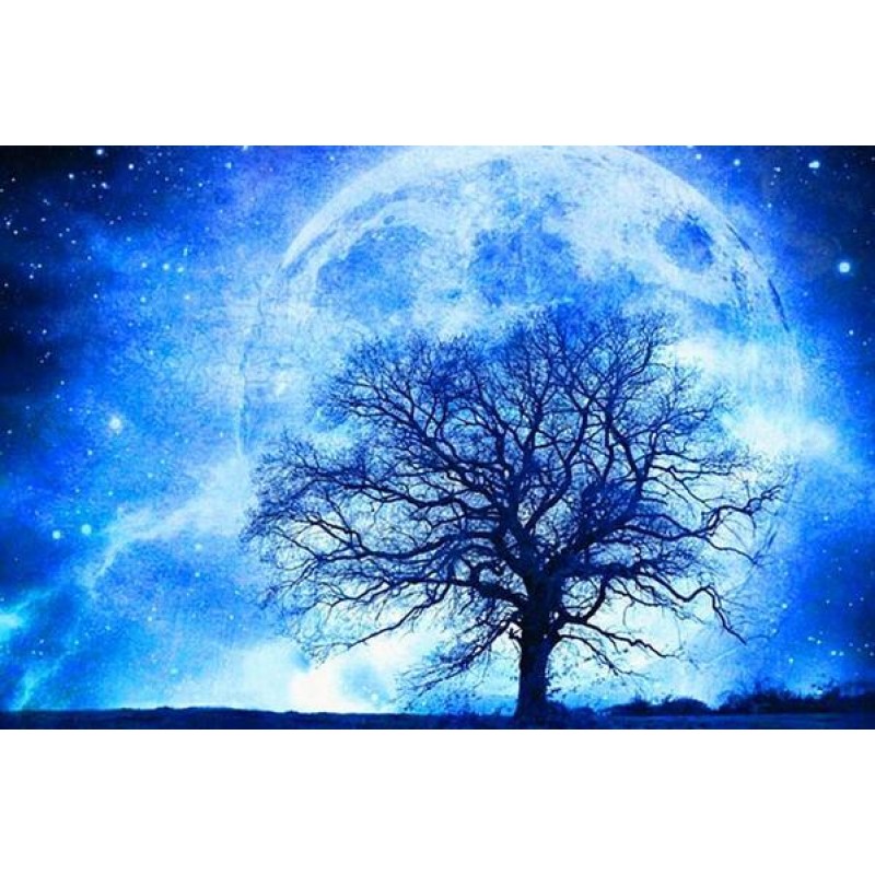 Moonlight Tree - Dia...