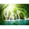 Sunshine & Forest Waterfall