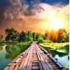 Shinning Sun & Striking Light