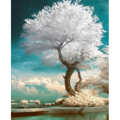 Beautiful Tree with White Leaves