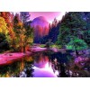 Beautiful Lake & Colorful Forest View