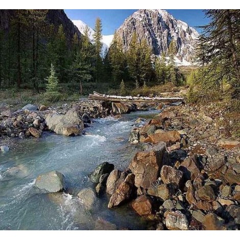 Snowy Mountain & Water Stream