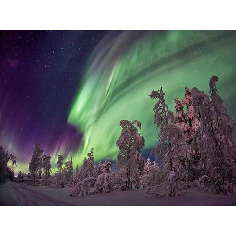 Shinning of the Nort...