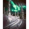 Aurora Snow Winter Diamond Painting