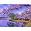 Sakura Trees Paint by Diamonds