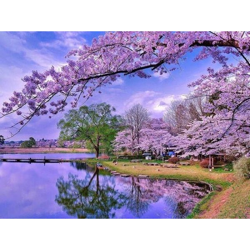 Sakura Trees Paint b...