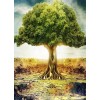 Lone Tree Painting Kit