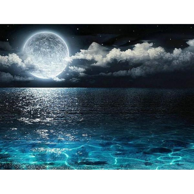 Night View Landscape