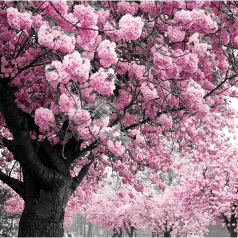 Pink Tree Diamond Painting Kit