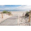 Beach Entrance Diamond Painting Kit