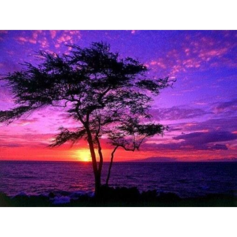Purple Sunset in Haw...