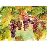 Hanging Grapes DIY Painti...