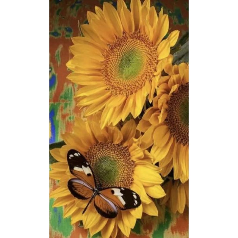 Butterfly on Sunflow...