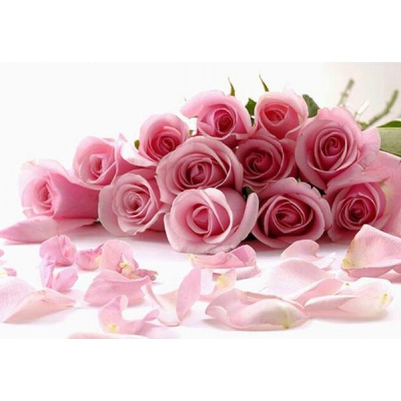 Roses- Diamond Paint...