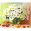 Flowers & Fruits- Diamond Painting