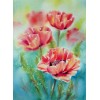 Three Poppy Flowers Diamond Painting
