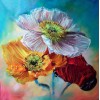 Nice Looking Flowers Diamond Painting