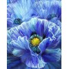 Blue Poppy by Carol Cavalaris