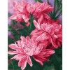 Mystical Peonies Diamond Painting