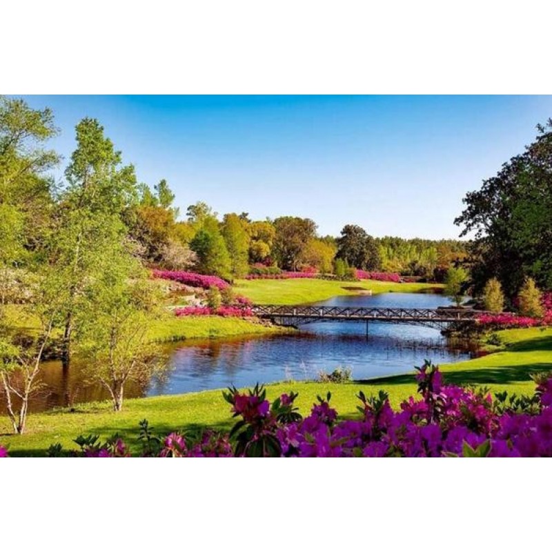 Spring Park View Dia...