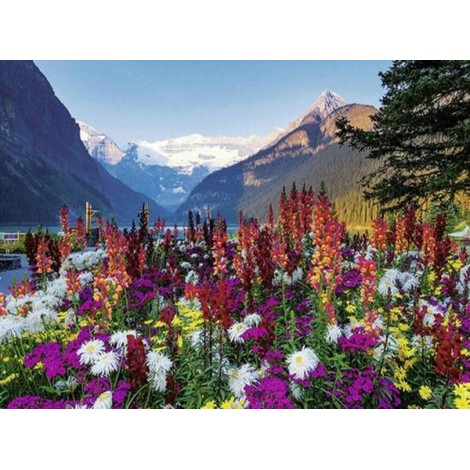 Ravens burger Flowery Mountains