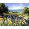 Flower Meadows Diamond Painting Kit