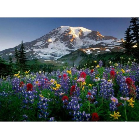 Colorful Flowers & Mountain View