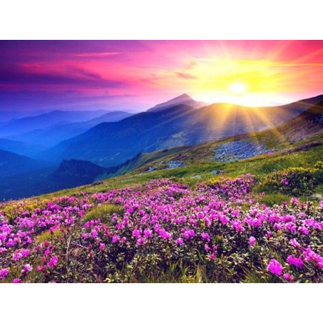 Beautiful Sunrise & Pink Flowers