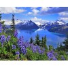Amazing Mountains View & Blue Flowers