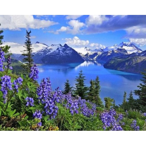 Amazing Mountains View & Blue Flowers