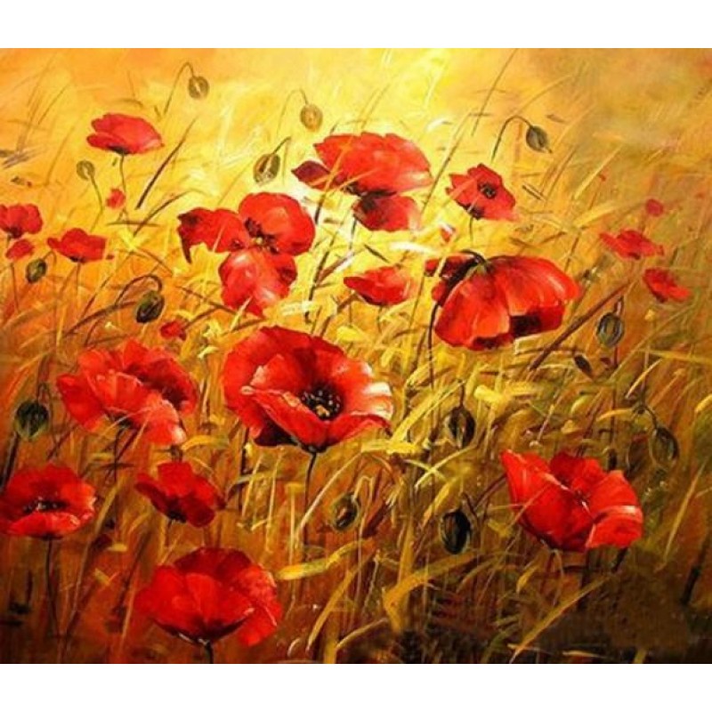 Sun Shines in Poppy ...