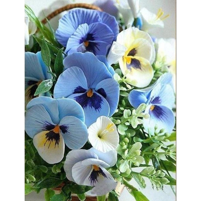 Pansy Flowers - Diam...
