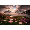 Sunset in Alaska Diamond Painting