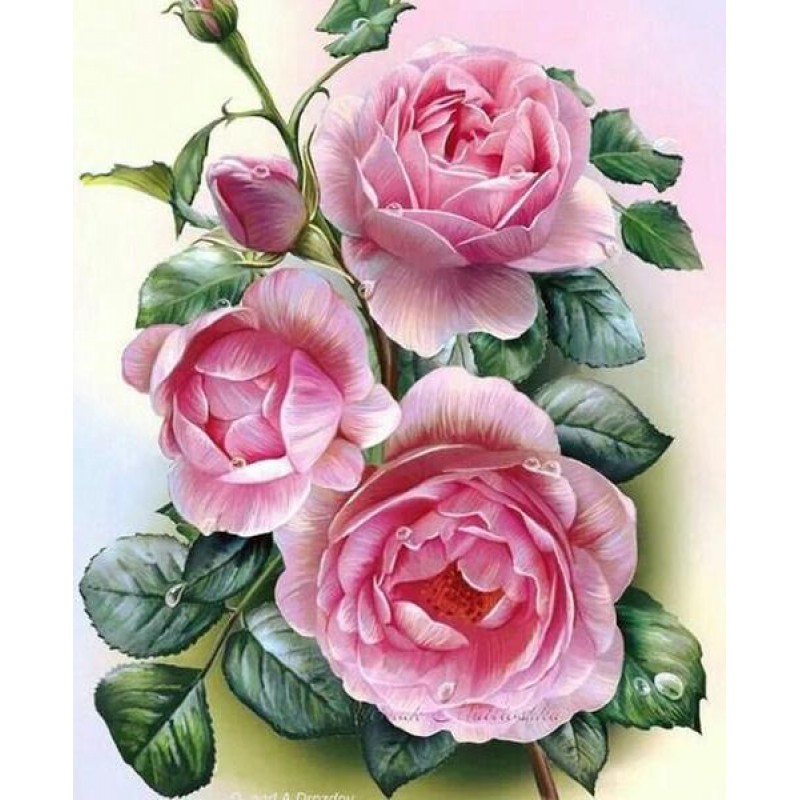 Rose Beauty - Paint ...