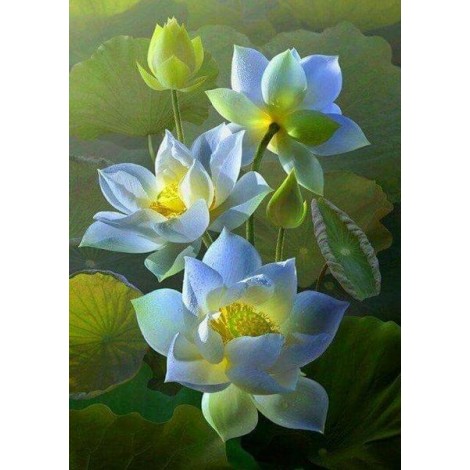 White Lotus Flowers Painting Kit