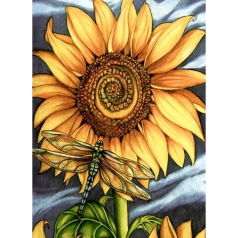 Sunflower & Dragon Fly