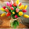 Colorful Tulips Diamond Painting Kit
